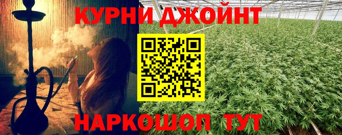 Бошки Шишки конопля Астрахань